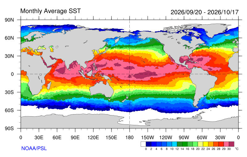 Temperatura superficial del mar actual